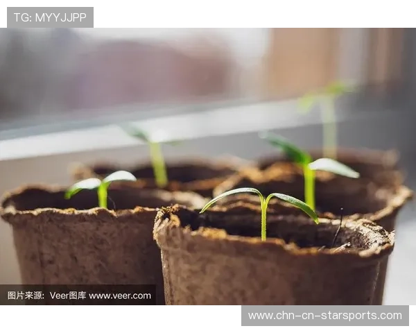 空间释放🌱潜力扩大